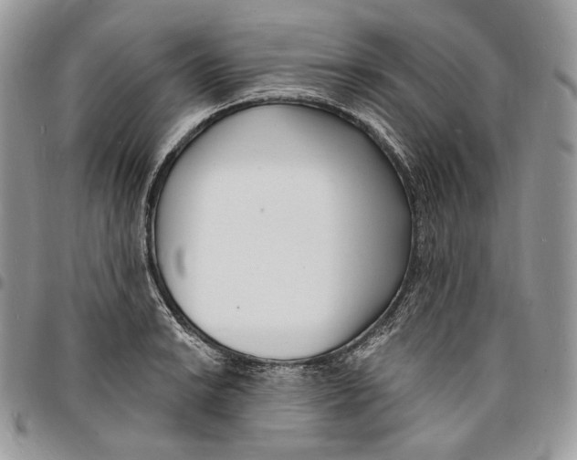 X0000096391038200802141450