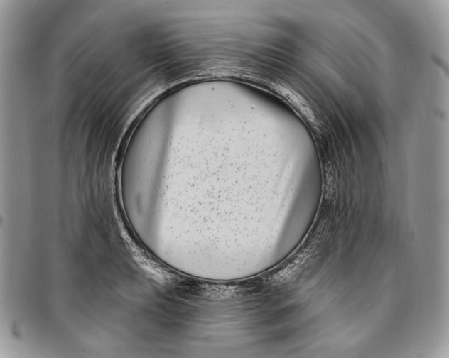 X0000096391039200802141450