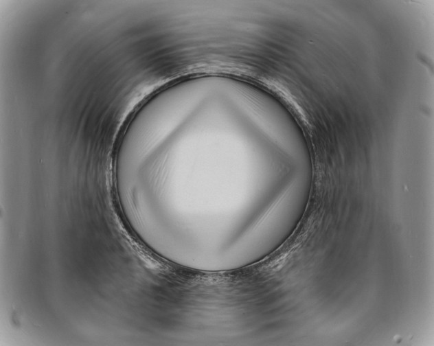X0000096391040200802141450