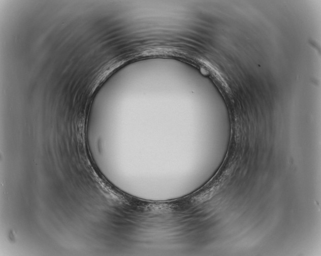 X0000096391041200802141450