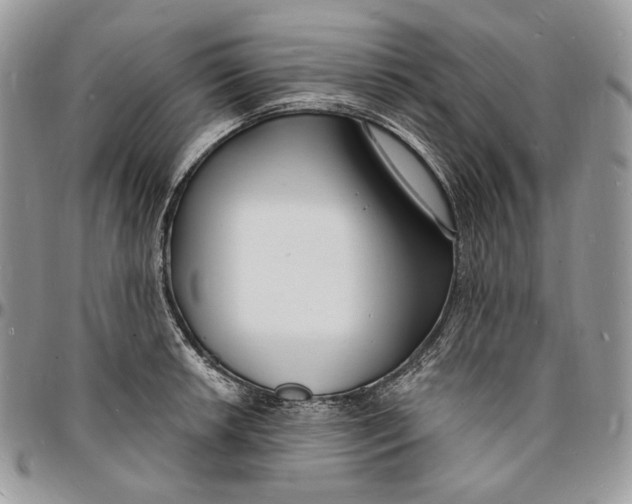 X0000096391042200802141450
