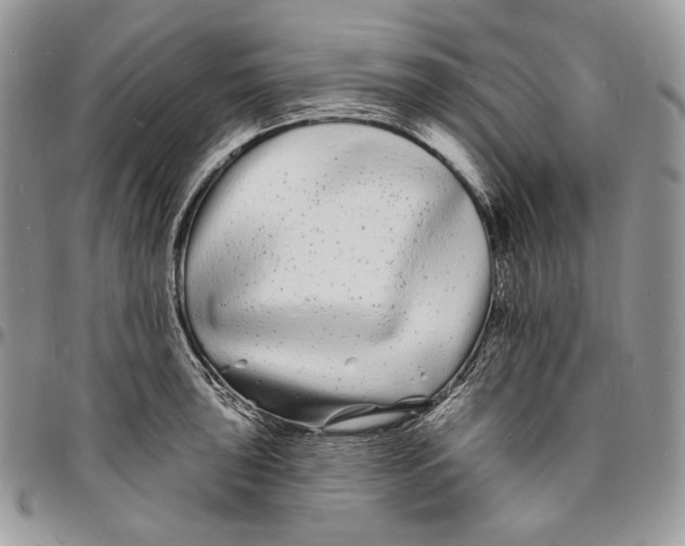 X0000096391043200802141450