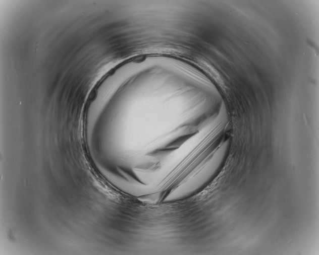 X0000096391044200802141450