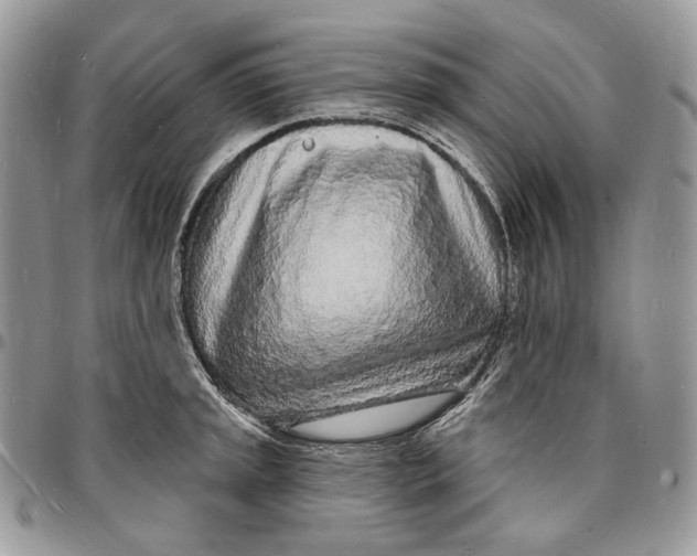X0000096391045200802141450