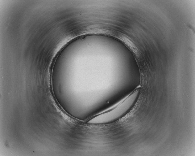 X0000096391046200802141450