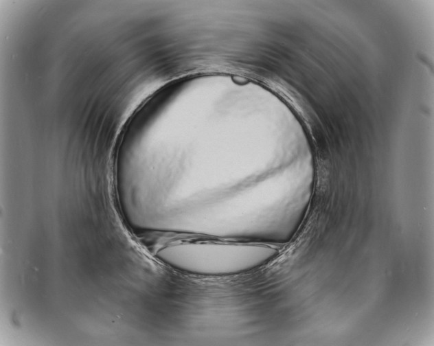 X0000096391048200802141450