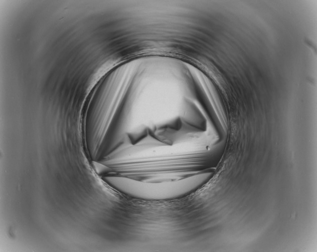 X0000096391050200802141450
