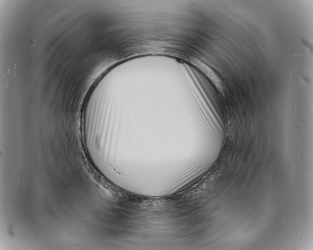 X0000096391051200802141450