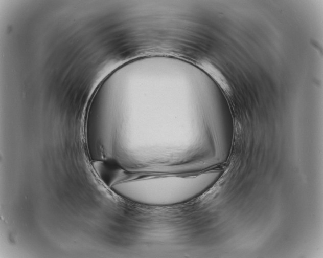 X0000096391052200802141450