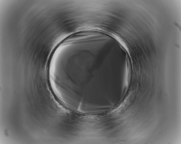 X0000096391053200802141450