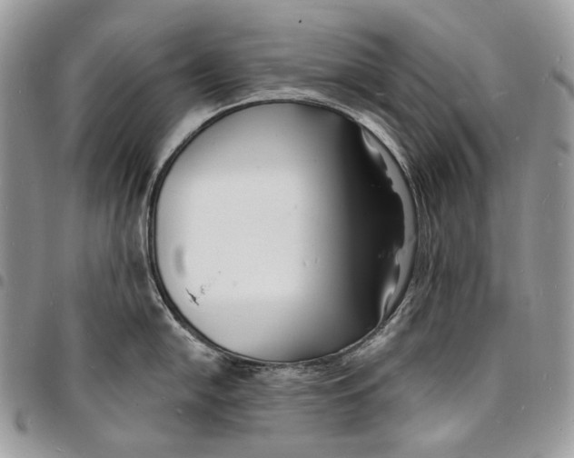 X0000096391054200802141450