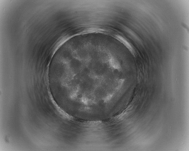 X0000096391055200802141450