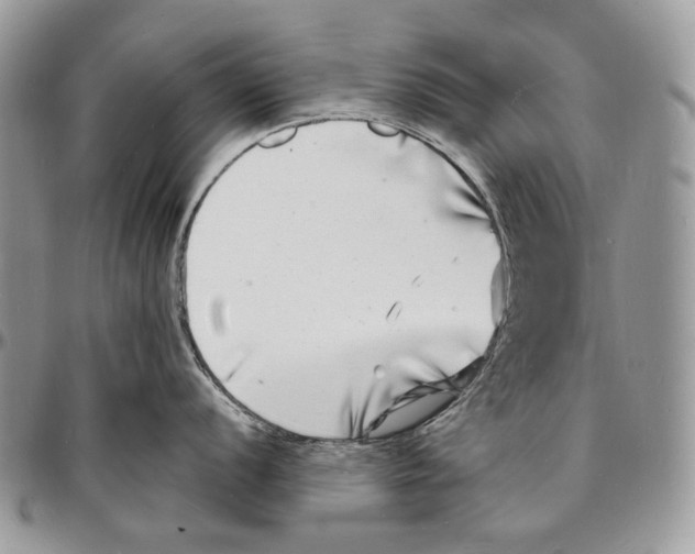 X0000096391056200802141450