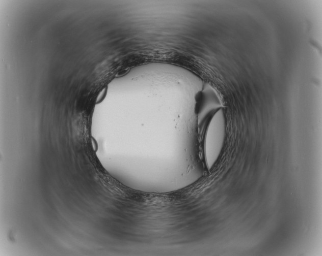 X0000096391058200802141450