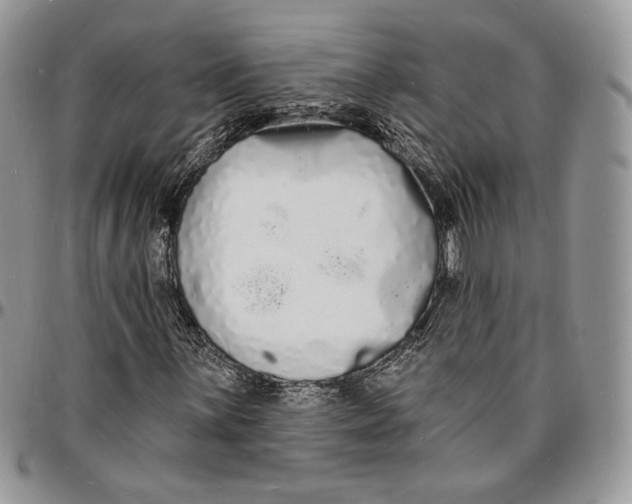 X0000096391059200802141450