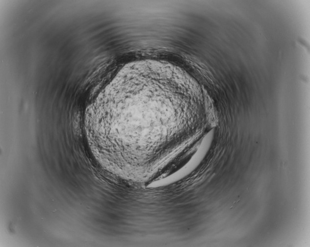 X0000096391060200802141450