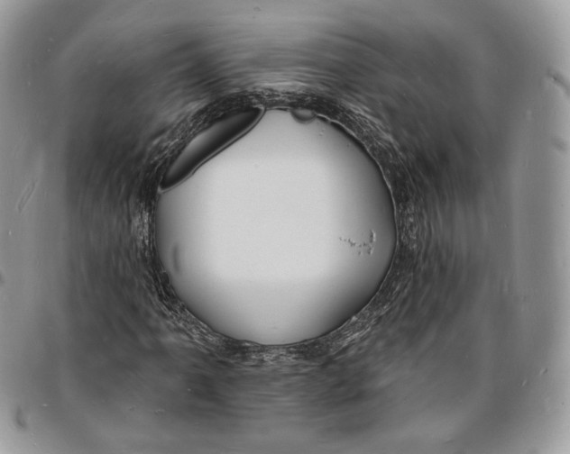 X0000096391061200802141450