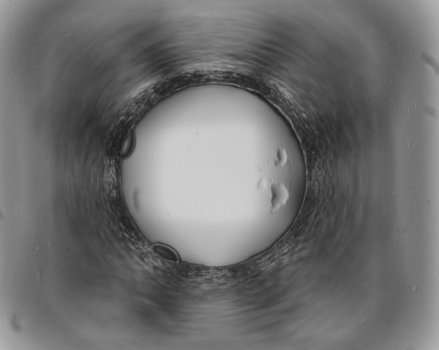 X0000096391062200802141450