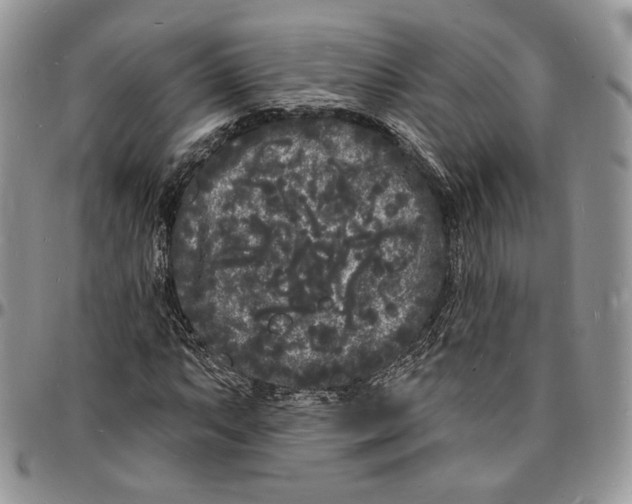X0000096391063200802141450