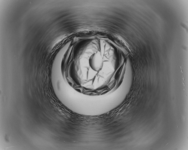 X0000096391064200802141450