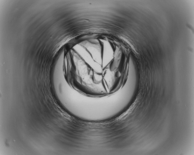 X0000096391065200802141450