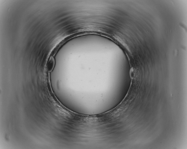 X0000096391068200802141449