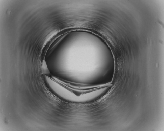 X0000096391069200802141449
