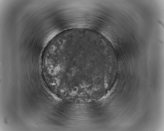 X0000096391071200802141449