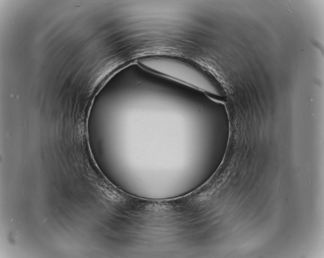 X0000096391073200802141449
