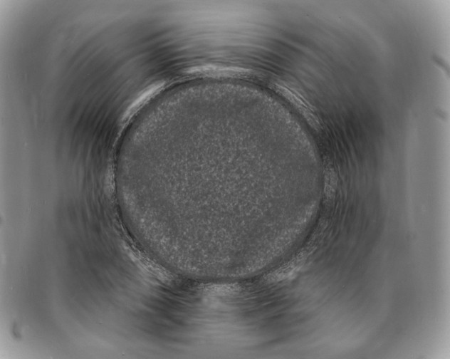 X0000096391074200802141449
