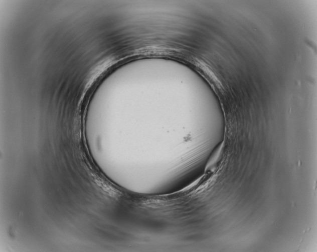 X0000096391075200802141449