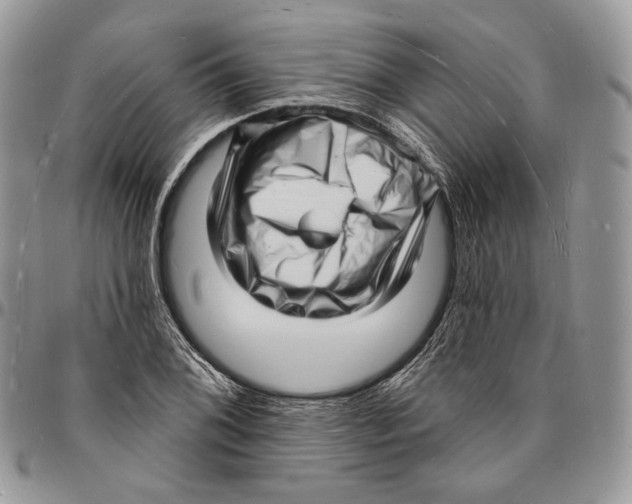X0000096391076200802141449
