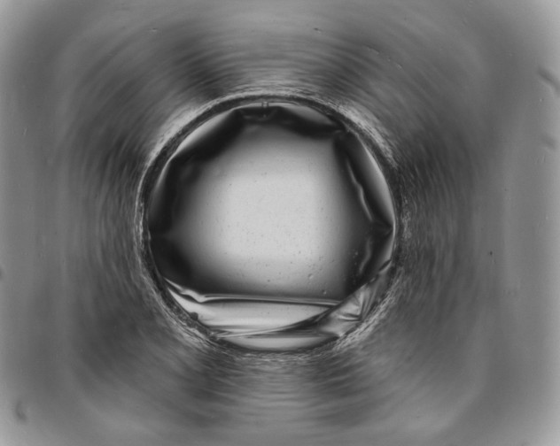 X0000096391077200802141449