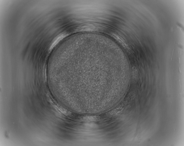 X0000096391078200802141449