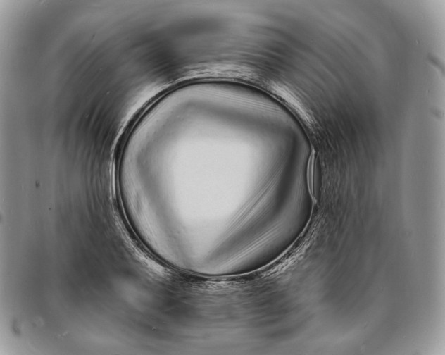 X0000096391079200802141449