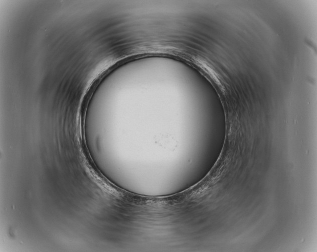 X0000096391080200802141449