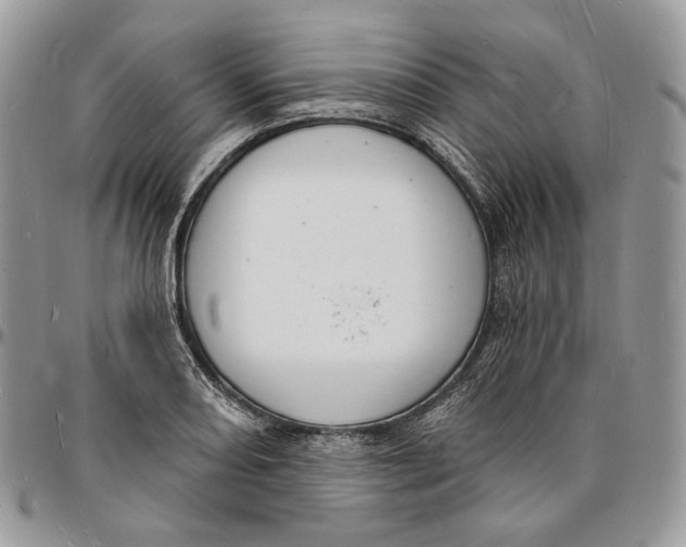 X0000096391082200802141449