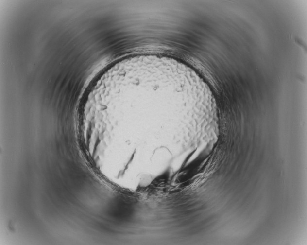 X0000096391083200802141449