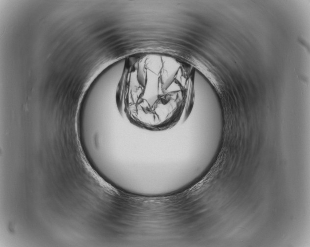 X0000096391084200802141449
