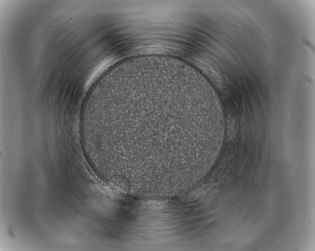 X0000096391086200802141449