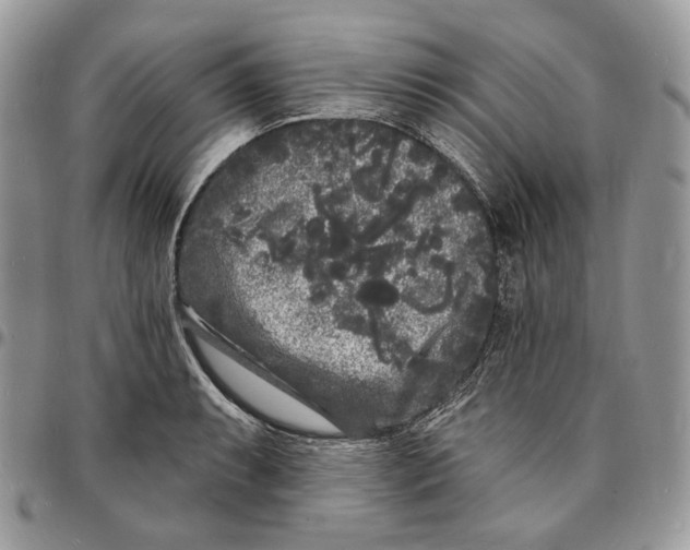X0000096391087200802141449