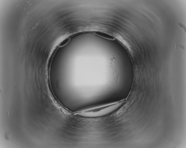 X0000096391088200802141449