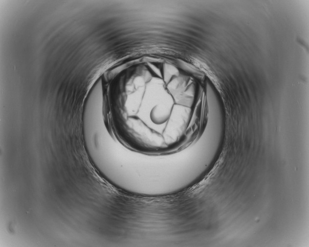 X0000096391089200802141449