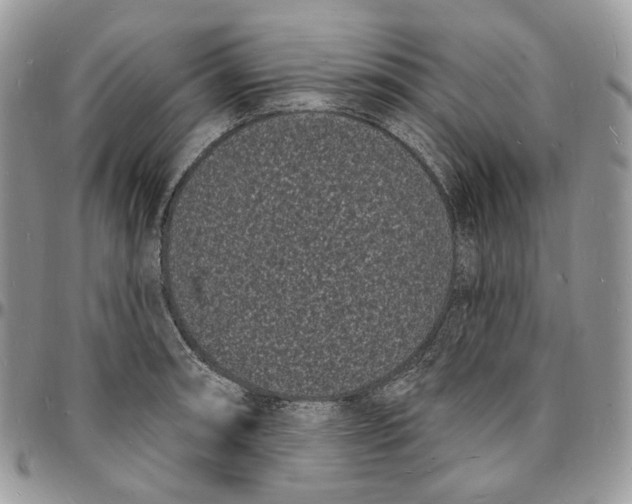 X0000096391090200802141449