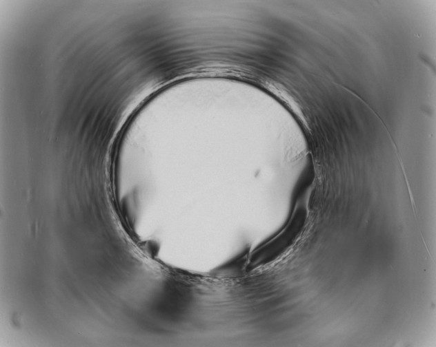 X0000096391091200802141449
