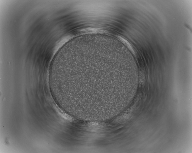 X0000096391098200802141449