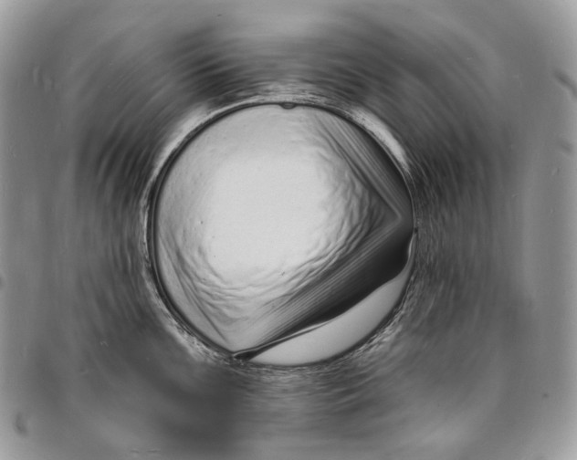 X0000096391099200802141449