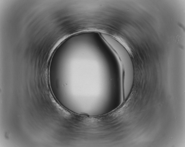 X0000096391100200802141449