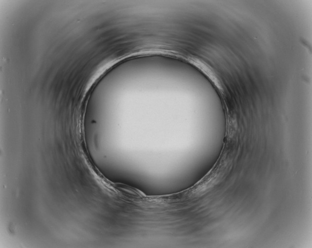 X0000096391101200802141449