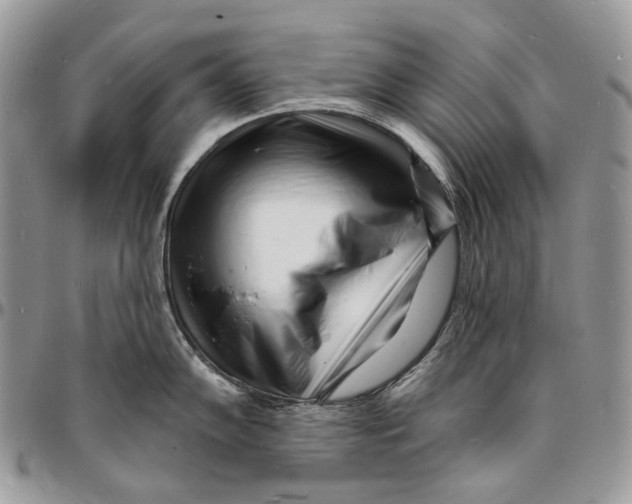 X0000096391102200802141449